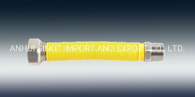 Coated Flexible Extensible AISI304/316L Tube Used for Gas