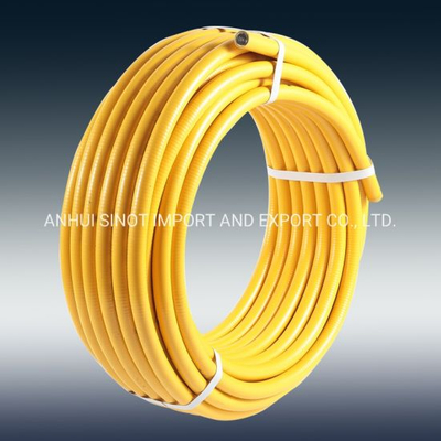 Dn40- 2" Corrugated Stainless Steel Hose for Gas