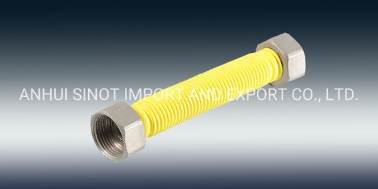 Coated Flexible Extensible Tubes for Gas