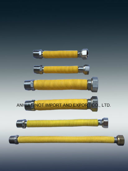 Coated Flexible Extensible Hoses for Gas